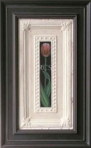 Tall-tulip-1-frame